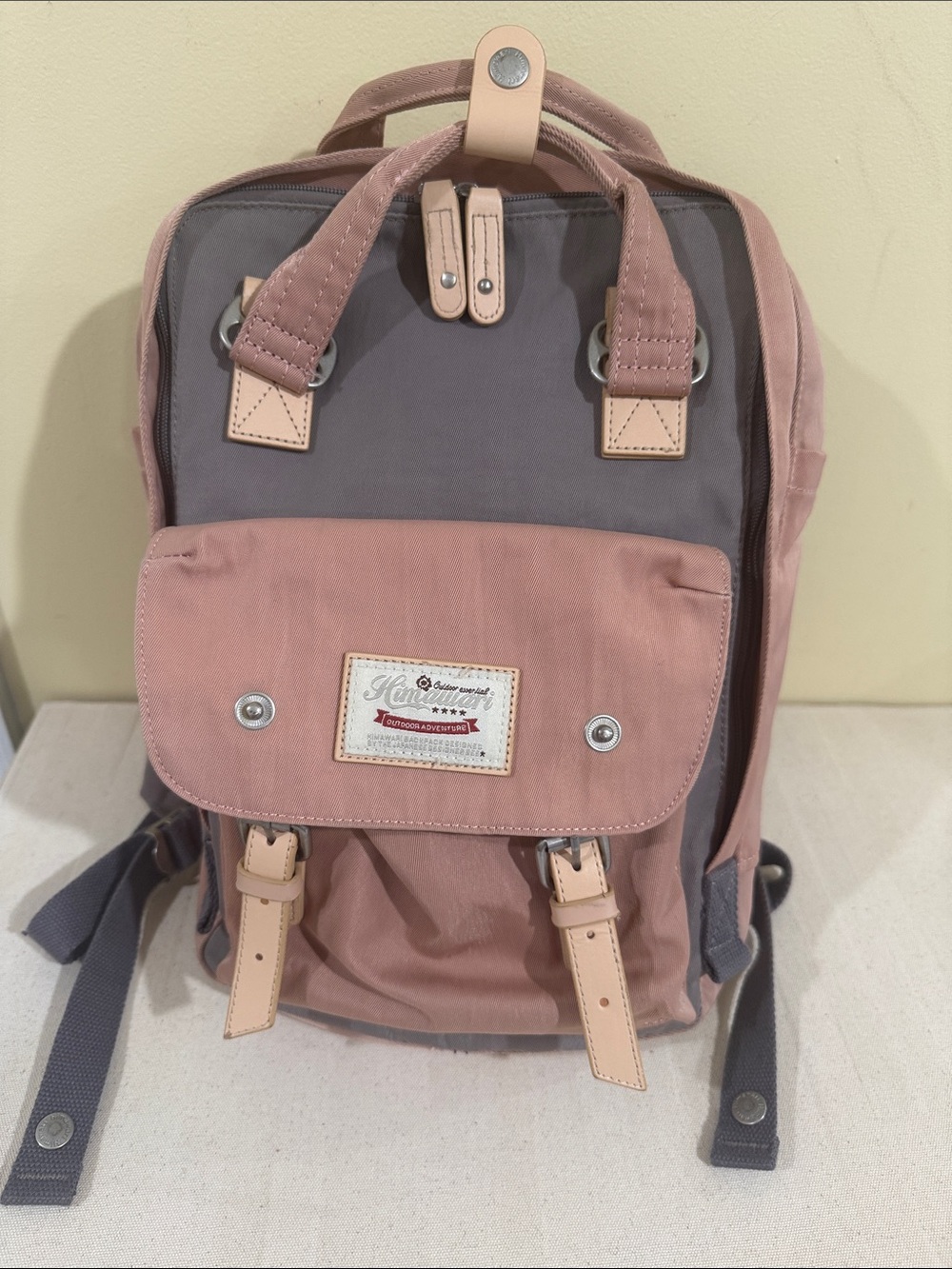 Two-Tone Pink and Gray Canvas Backpack with Leather Trim